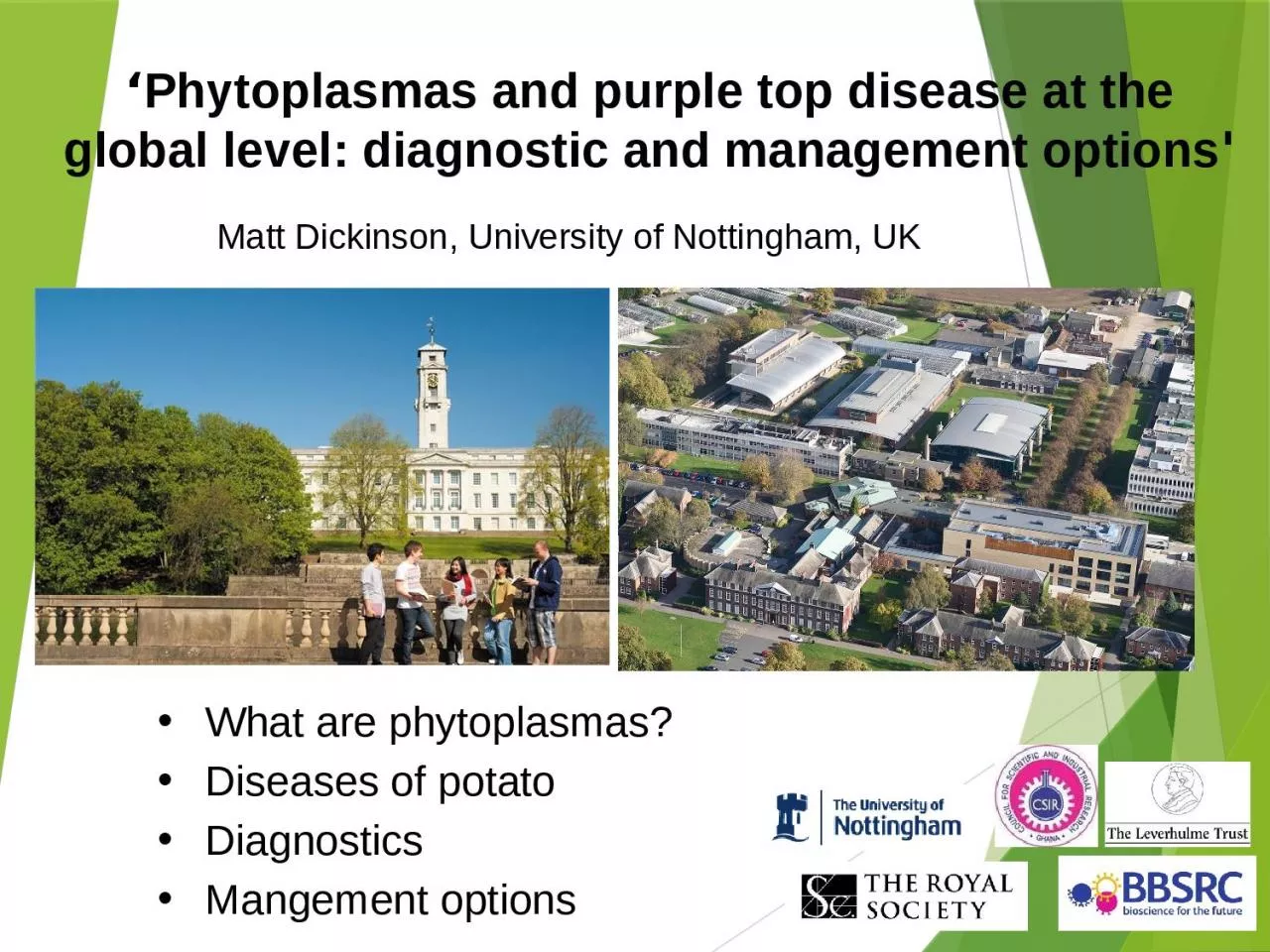 PPT-‘ Phytoplasmas and purple top disease at