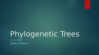 Phylogenetic Trees 21.11.2019