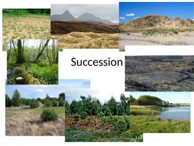 Succession We are looking at this section of the specification: