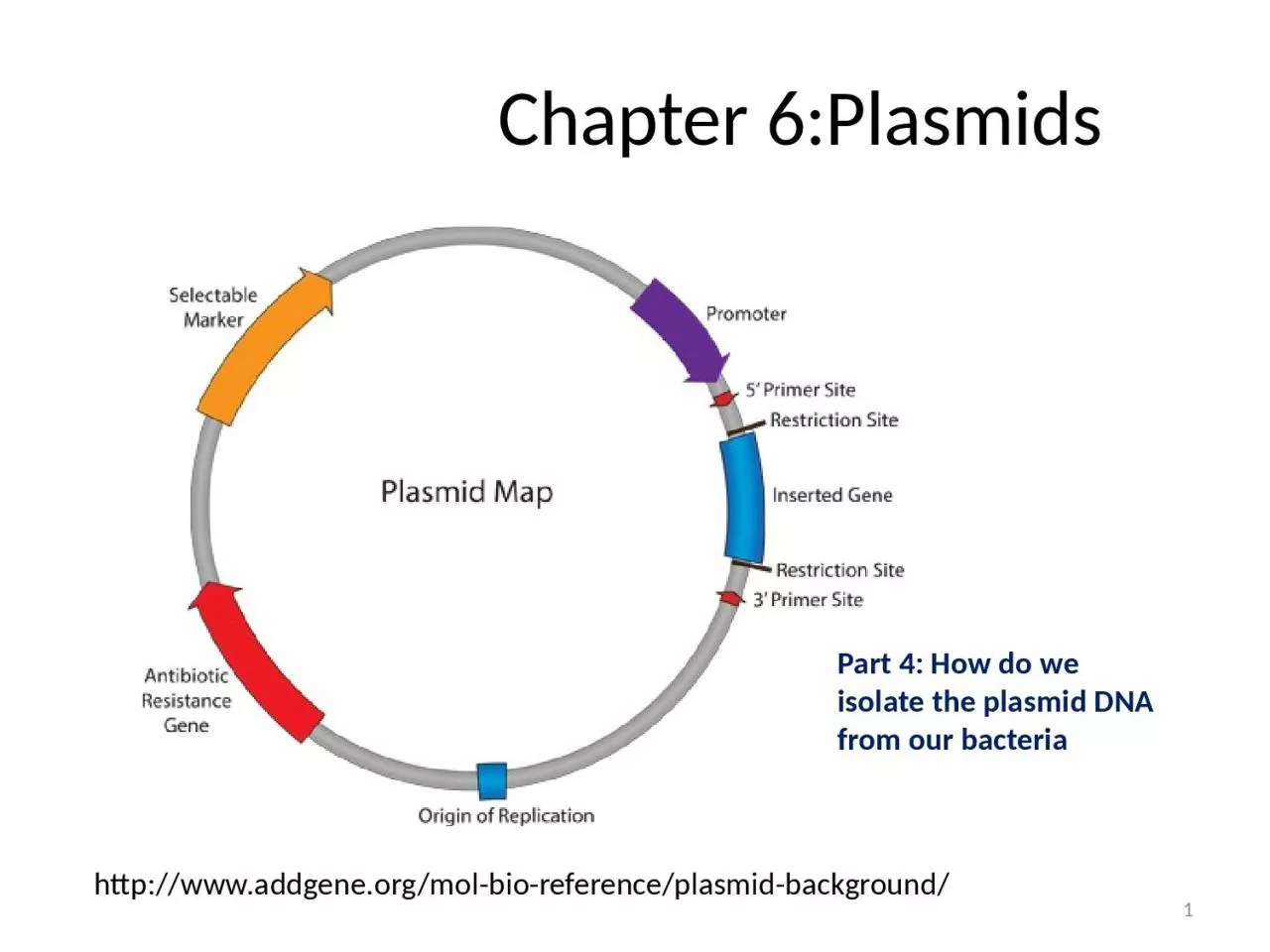 PPT-Chapter 6:Plasmids 1 http://www.addgene.org/mol-bio-reference/plasmid-background/