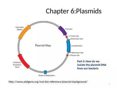 Chapter 6:Plasmids 1 http://www.addgene.org/mol-bio-reference/plasmid-background/