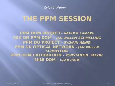 The PPM Session ppm DOM