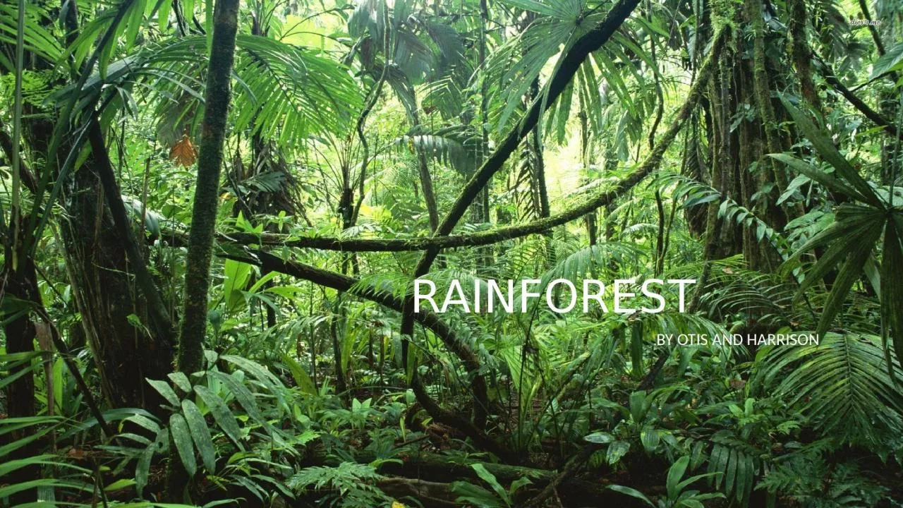 PPT-RAINFOREST BY Otis and Harrison