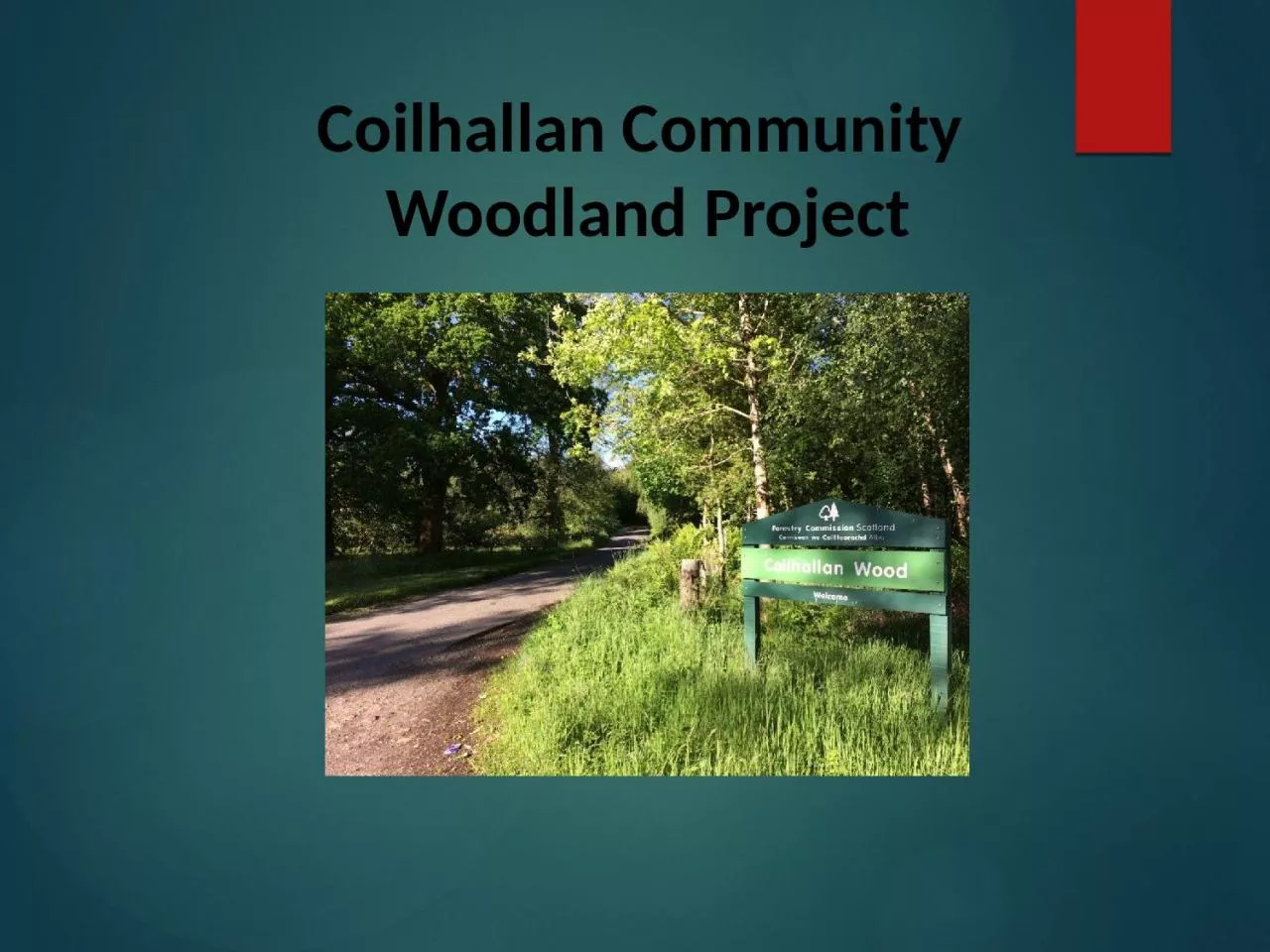 PPT-Coilhallan Community Woodland Project