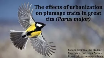 The effects of urbanization on plumage traits in great tits