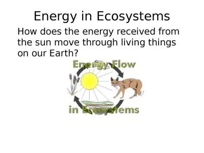 Energy in Ecosystems How does the energy received from the sun move through living things