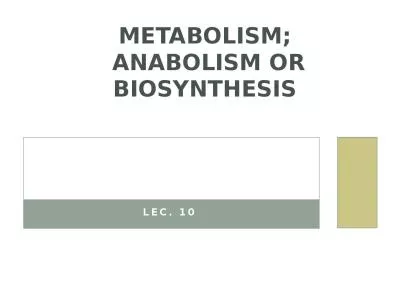 Lec .  10  Metabolism;  Anabolism
