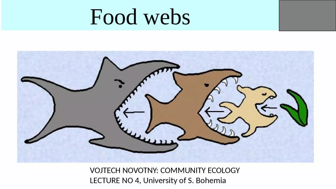 PPT-Food webs VOJTECH NOVOTNY: COMMUNITY ECOLOGY LECTURE NO 4, University of S. Bohemia