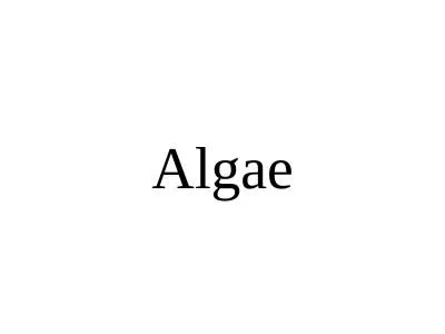 Algae Algae Algae are the