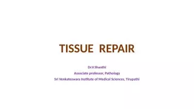 TISSUE  REPAIR Dr.V.Shanthi