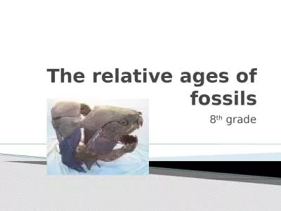 The relative ages of fossils