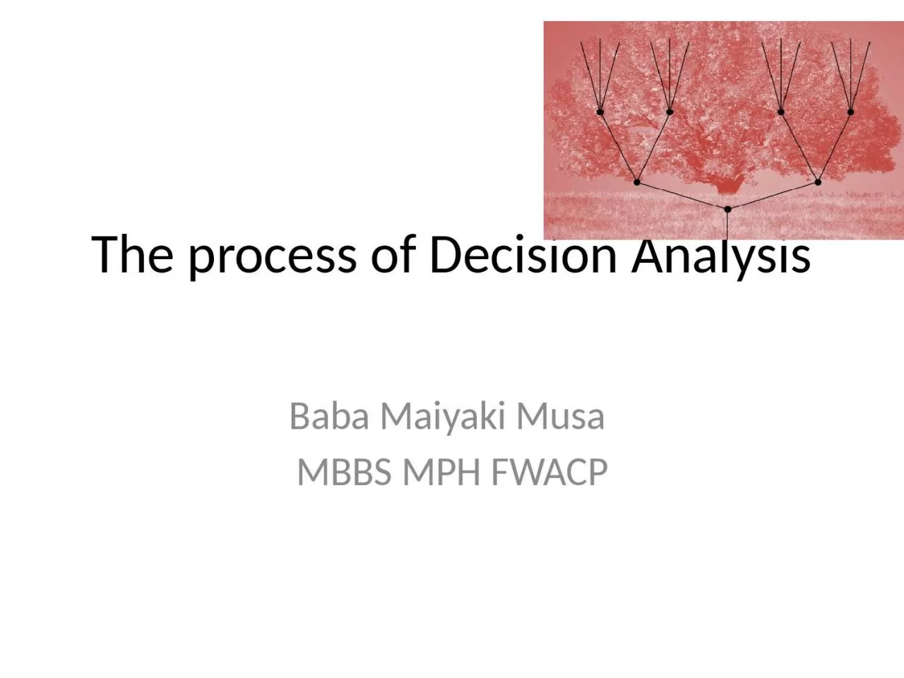 The process of Decision Analysis