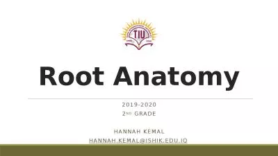 Root Anatomy 2019-2020 2