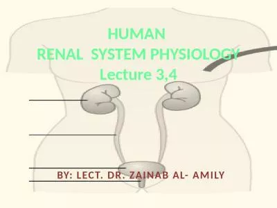 HUMAN  RENAL  SYSTEM PHYSIOLOGY