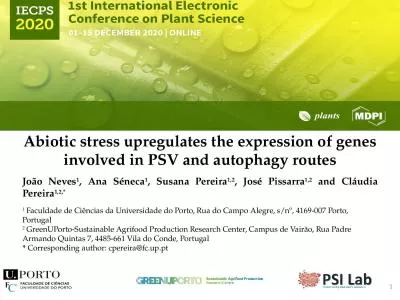 Abiotic stress upregulates the expression of genes involved in PSV and autophagy routes