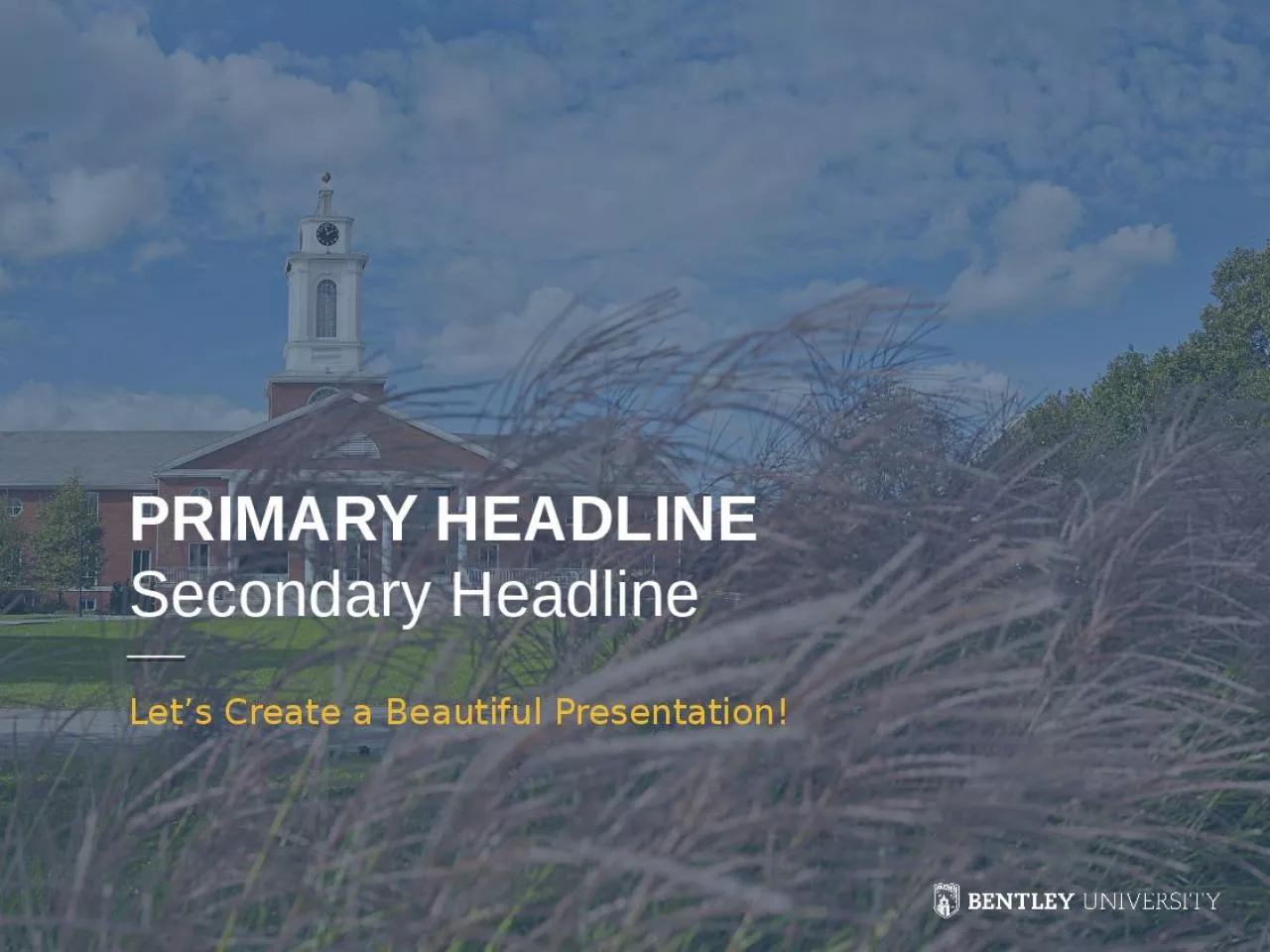 PPT-PRIMARY HEADLINE Secondary Headline