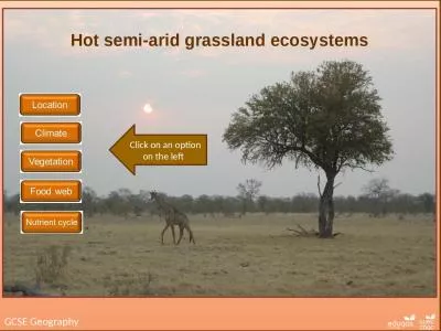 GCSE Geography  Hot semi-arid grassland ecosystems
