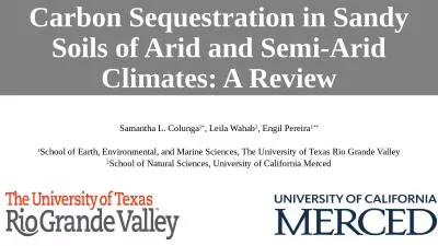Carbon Sequestration in Sandy Soils of Arid and Semi-Arid Climates: A Review