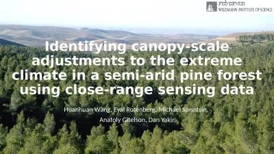 Identifying canopy-scale adjustments