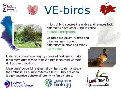 L    VE-birds  In lots of bird species the males and females look different to each other – this