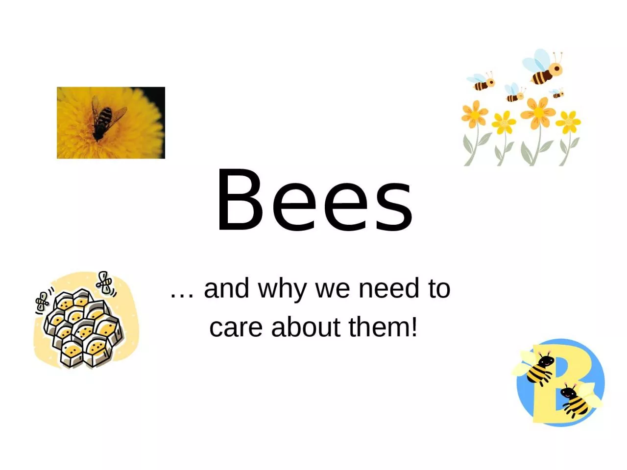 PPT-Bees … and why we need to