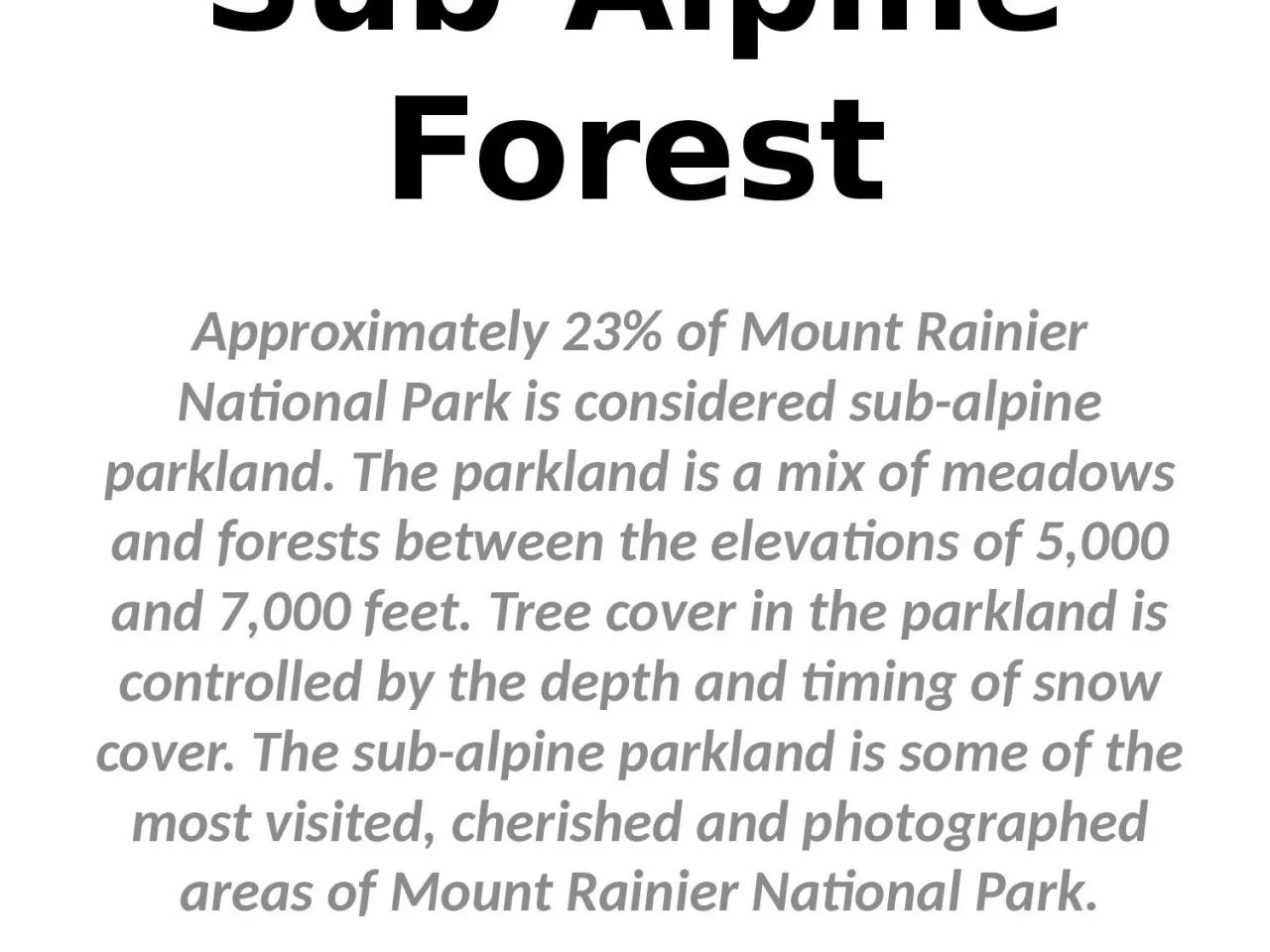 PPT-Sub-Alpine Forest Approximately 23% of Mount Rainier National Park is considered sub-alpine