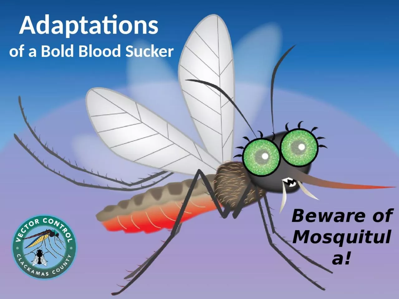 PPT-Adaptations of a Bold Blood Sucker