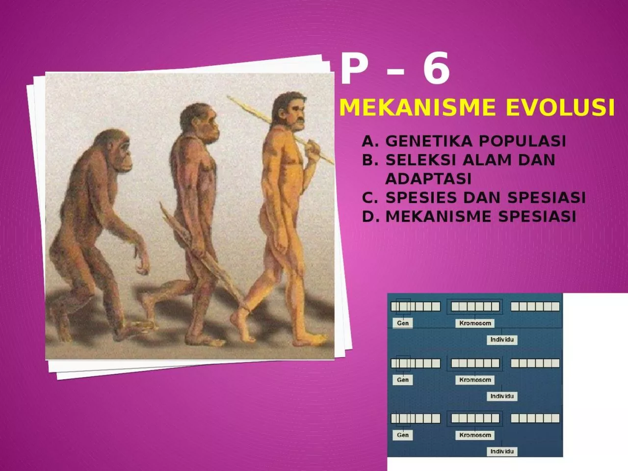 PPT-P – 6 MEKANISME EVOLUSI