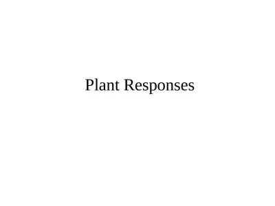 Plant Responses Animals often quickly respond to a stimulus with an appropriate behavior.