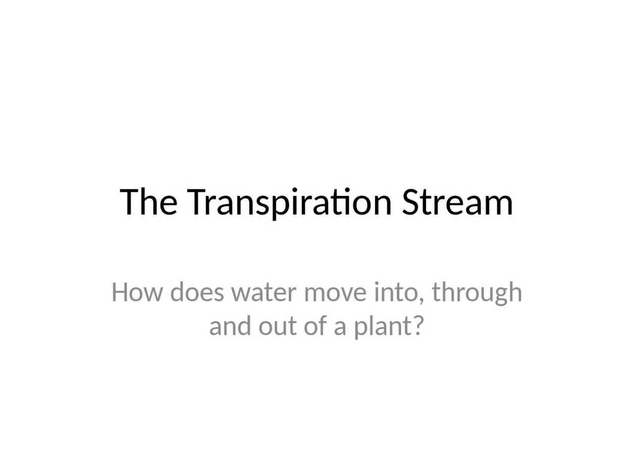 PPT-The Transpiration Stream