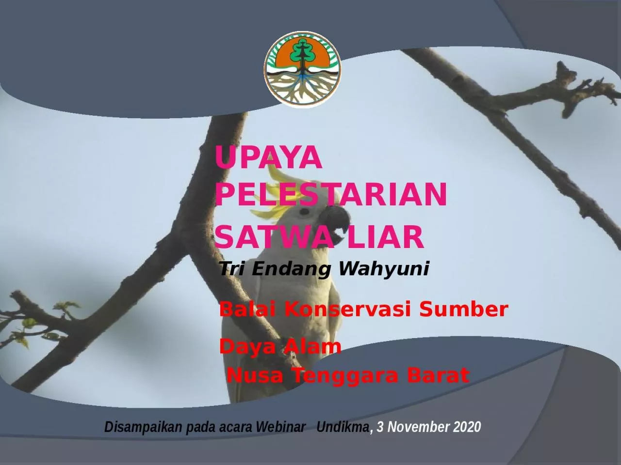 PPT-UPAYA PELESTARIAN SATWA LIAR