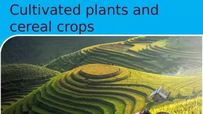 Cultivated plants and cereal crops