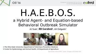 H.A.E.B.O.S. a Hybrid Agent- and Equation-based Behavioral Outbreak Simulator