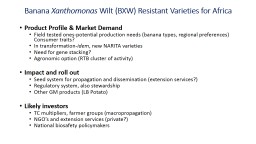 Banana  Xanthomonas  Wilt (BXW) Resistant Varieties for Africa