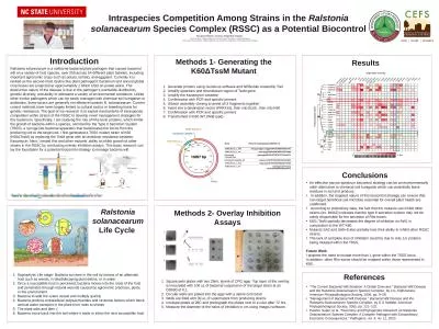 Intraspecies Competition Among Strains in the