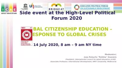 Side event at the High-Level Political Forum 2020