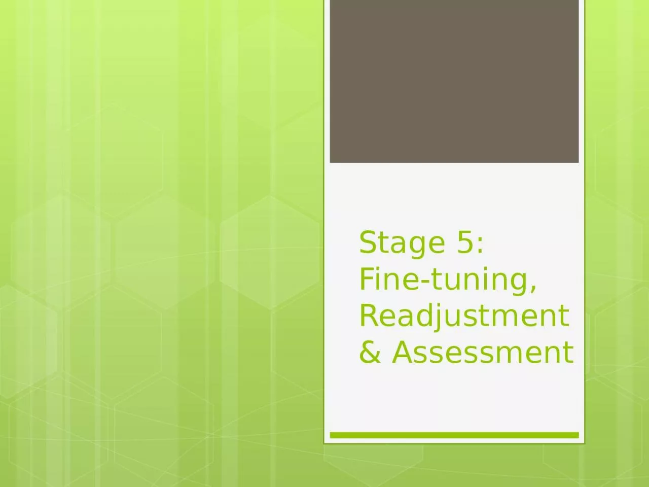 PPT-Stage 5: Fine-tuning, Readjustment & Assessment