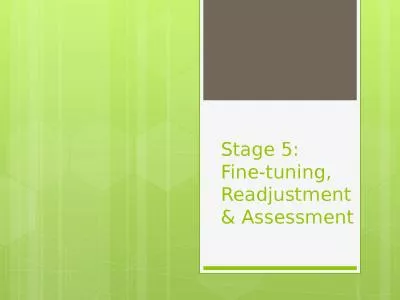 Stage 5:  Fine-tuning, Readjustment & Assessment