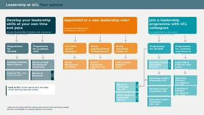 Leadership at UCL  Your options