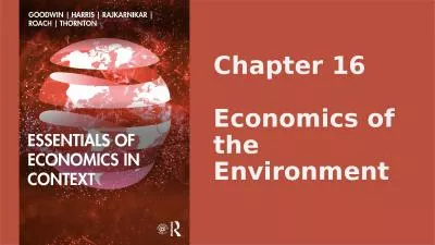 Chapter 16 Economics of