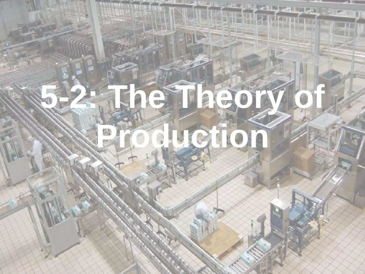 PPT-5-2: The Theory of Production