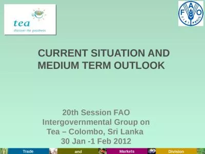 20th Session FAO Intergovernmental Group on Tea – Colombo, Sri Lanka