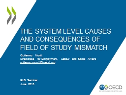 The System Level Causes and Consequences of Field of Study Mismatch