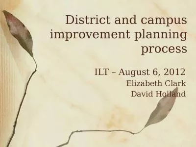 District and campus improvement planning process