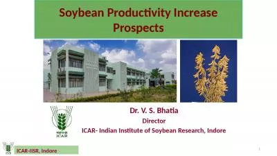 Soybean Productivity Increase Prospects