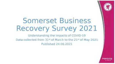 Somerset Business Recovery Survey 2021