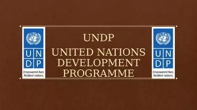 UNDP UNITED NATIONS DEVELOPMENT