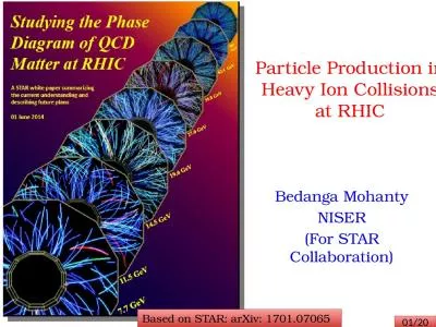 Particle Production in Heavy Ion Collisions at RHIC
