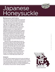 \r\fJapanese honeysuckle (Lonicera japonica) is