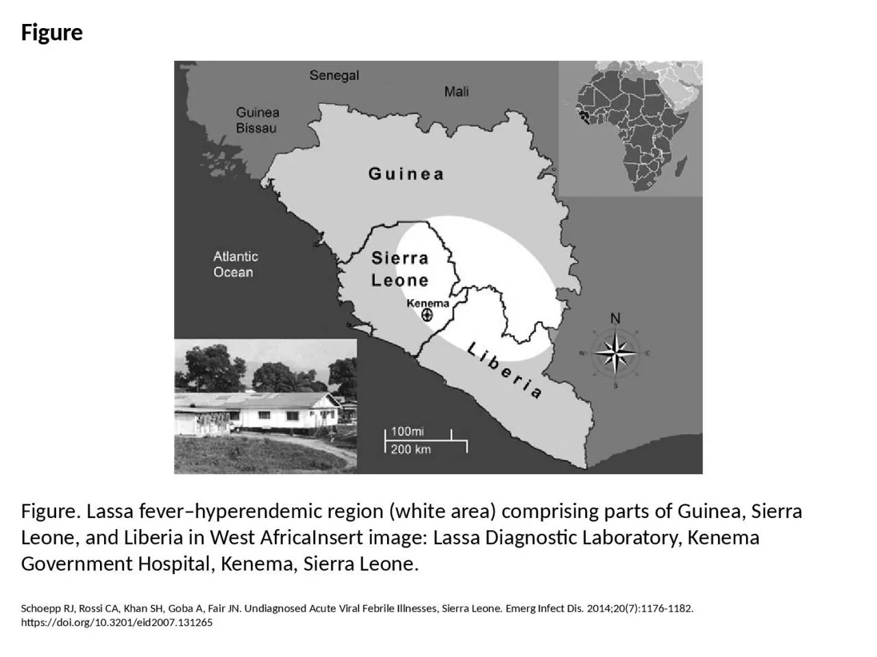 PPT-Figure Figure. Lassa fever–hyperendemic region (white area) comprising parts of Guinea,